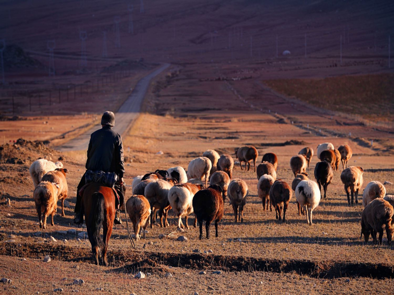 Caravan Bắc - Nam Tân Cương: Chinh phục các cung đường từ sa mạc đến núi non trùng điệp, khám phá vẻ đẹp hoang sơ hùng vĩ của thiên nhiên