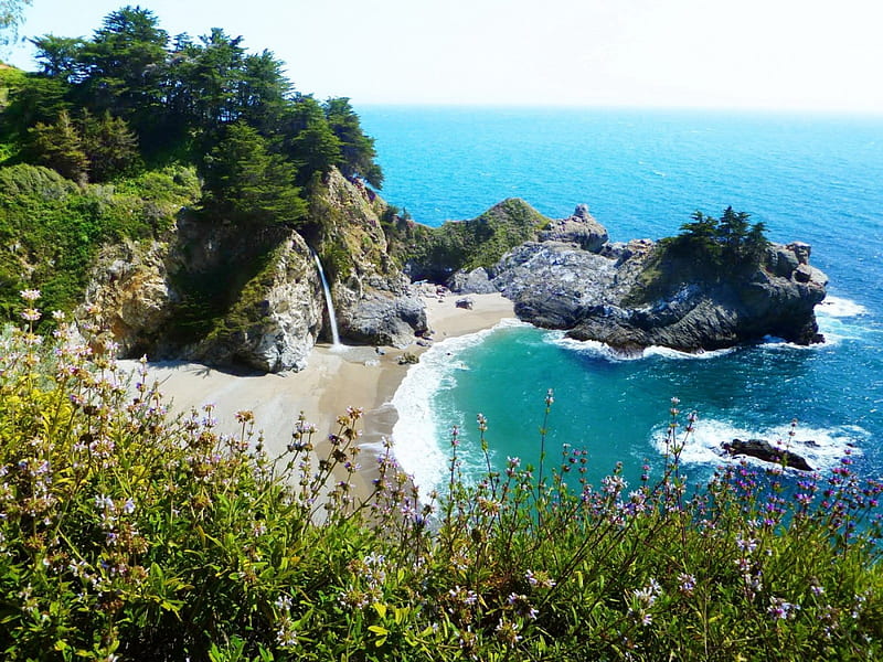 Caravan Hoa Kỳ: Cung đường bờ biển Thái Bình Dương Pacific Coast (Los Angeles - Santa Barbara - San Luis - Monterey - Big Sur - Santa Cruz - Napa Valley - San Francisco)