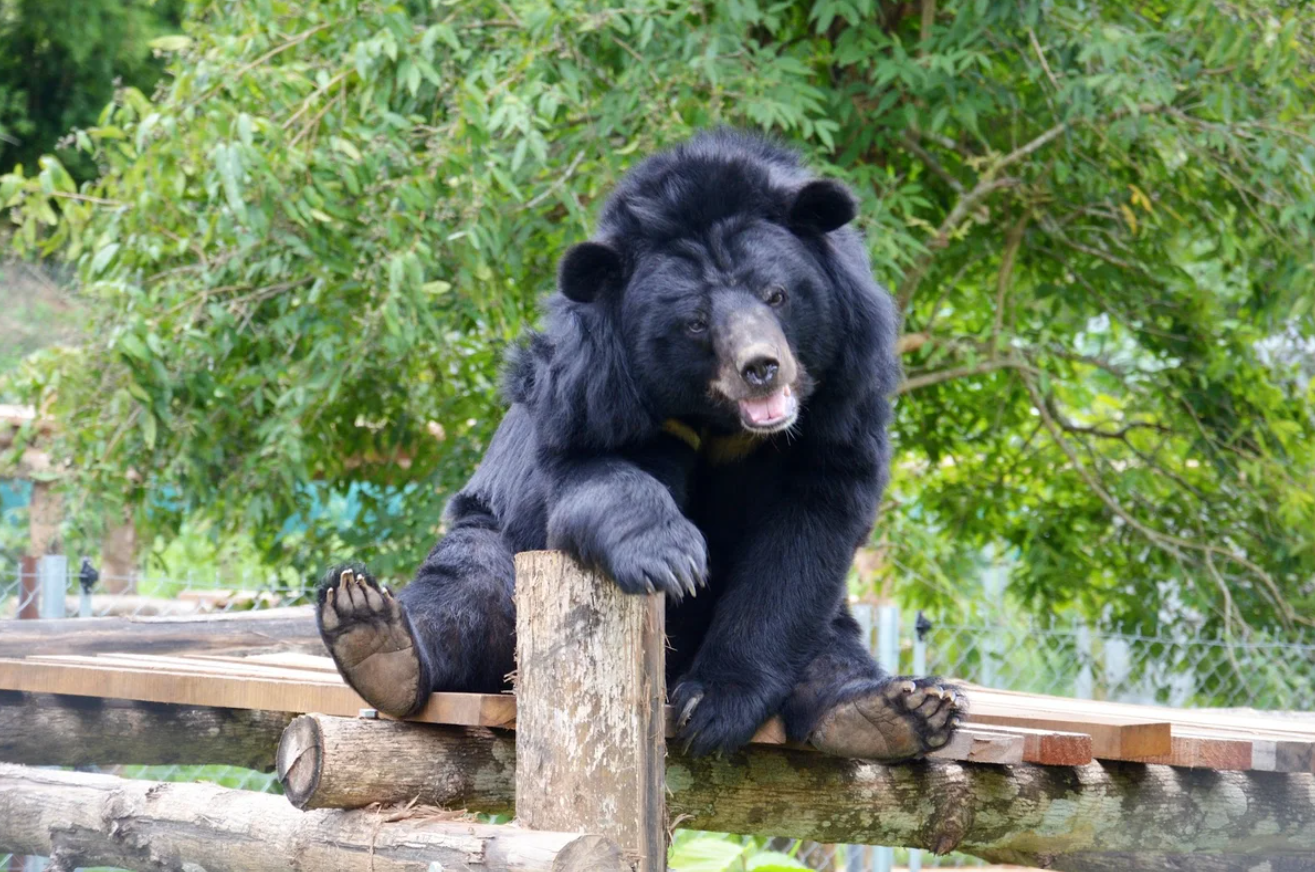 Caravan Lào: Cửa khẩu Lao Bảo - Pak Kading - Vientiane - Vang Vieng - Luang Prabang - Paksan - Cửa khẩu Cầu Treo (trải nghiệm tàu cao tốc)