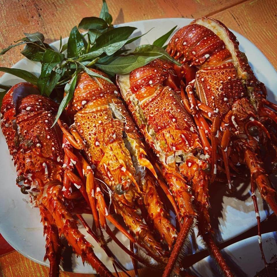 Caravan Bình Thuận: về miền biển đảo hoang sơ, khám phá đảo ngọc Phú Quý