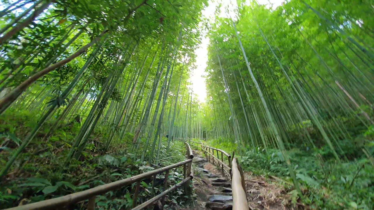 Caravan Tây Bắc mùa lúa chín: Pù Luông - Hòa Bình - Mù Cang Chải - La Pán Tẩn - Tà Xùa