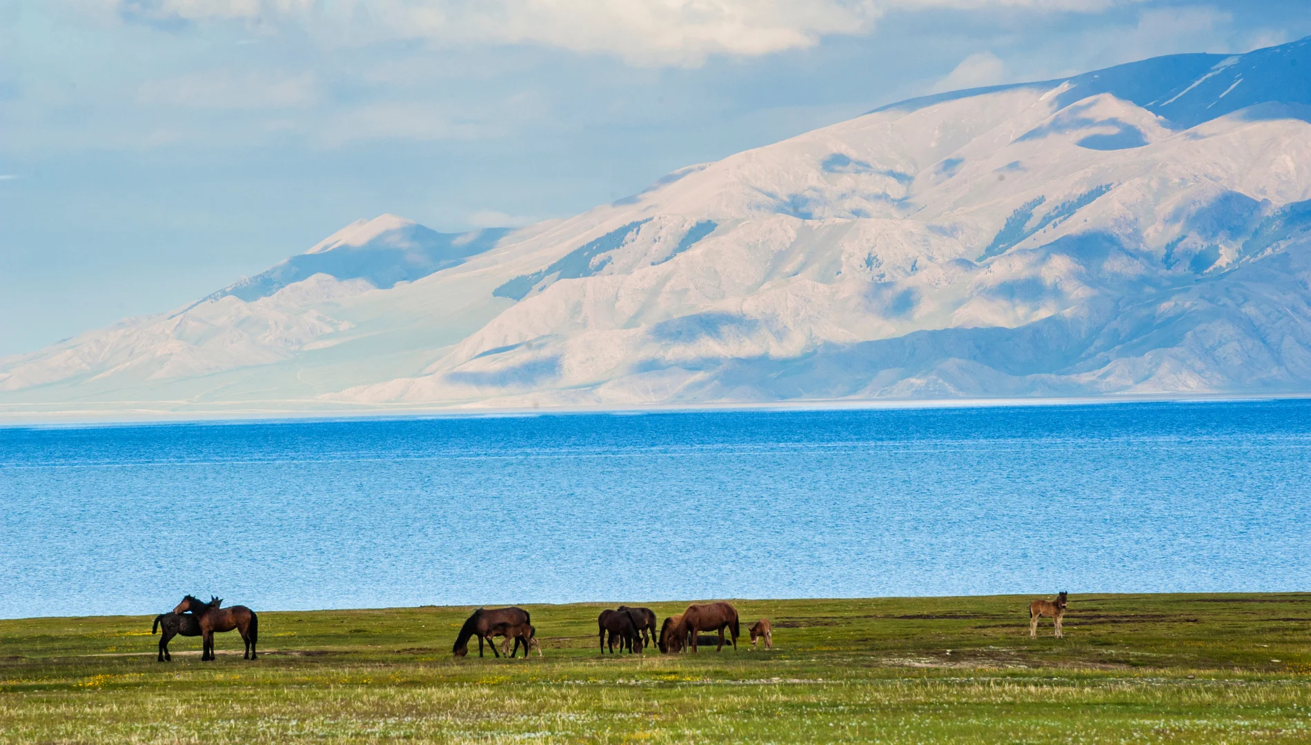 Caravan Tân Cương: Chinh phục các cung đường từ sa mạc đến núi non trùng điệp, khám phá vẻ đẹp hoang sơ hùng vĩ của thiên nhiên