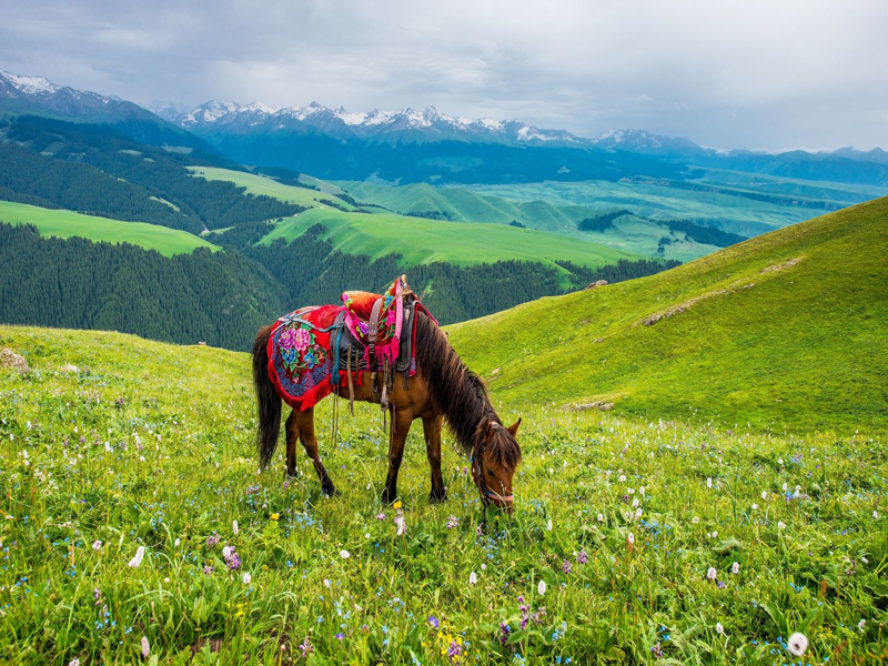 Caravan Bắc - Nam Tân Cương: Chinh phục các cung đường từ sa mạc đến núi non trùng điệp, khám phá vẻ đẹp hoang sơ hùng vĩ của thiên nhiên