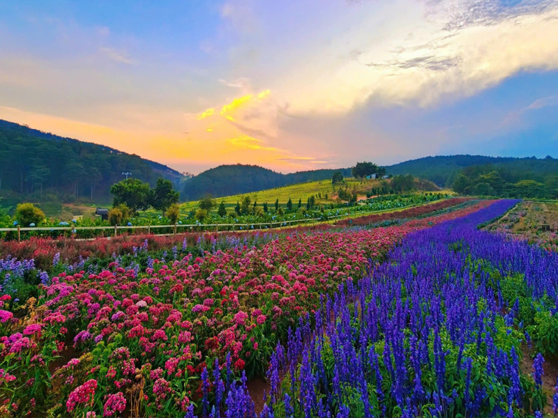 Caravan Khám phá cao nguyên huyền diệu: Lâm Hà - Nam Ban - Trekking núi Voi