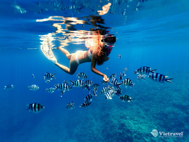 Caravan Xứ Nẫu - TP. Hồ Chí Minh - Ghềnh Nhảy - Tuy Hòa - Mũi Điện