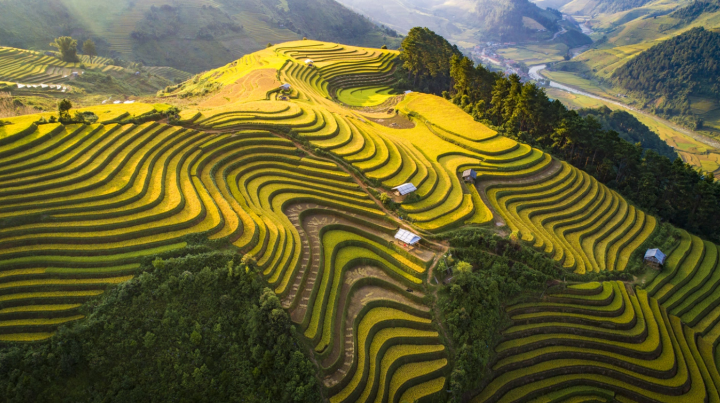 Caravan Tây Bắc mùa lúa chín: Pù Luông - Hòa Bình - Mù Cang Chải - La Pán Tẩn - Tà Xùa