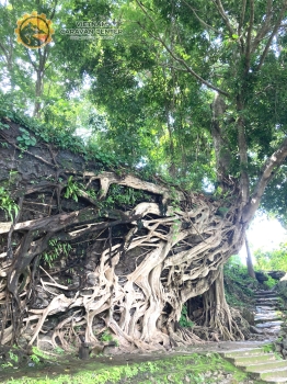 [CARAVAN KÝ SỰ] Hành Trình Caravan Tây Nguyên: Khám Phá Pleiku - Măng Đen - Buôn Ma Thuột