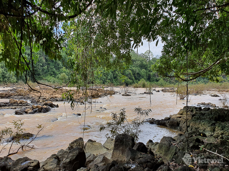 Caravan Sinh Thái: Vườn quốc gia Nam Cát Tiên - Thiên nhiên vẫy gọi