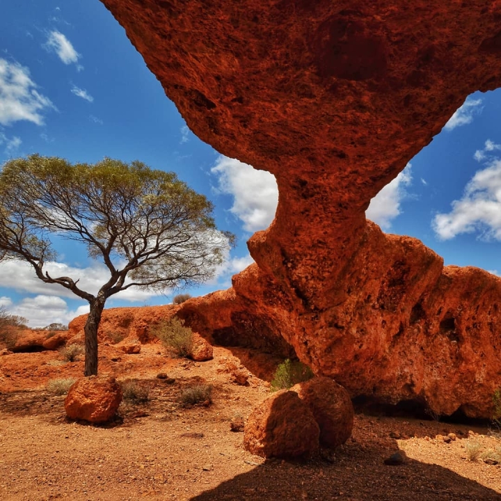 Khám phá Great Ocean Road Úc 10N9Đ: Phiêu lưu huyền thoại cùng Viecaravan!